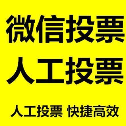 榆林市微信刷票怎么投票